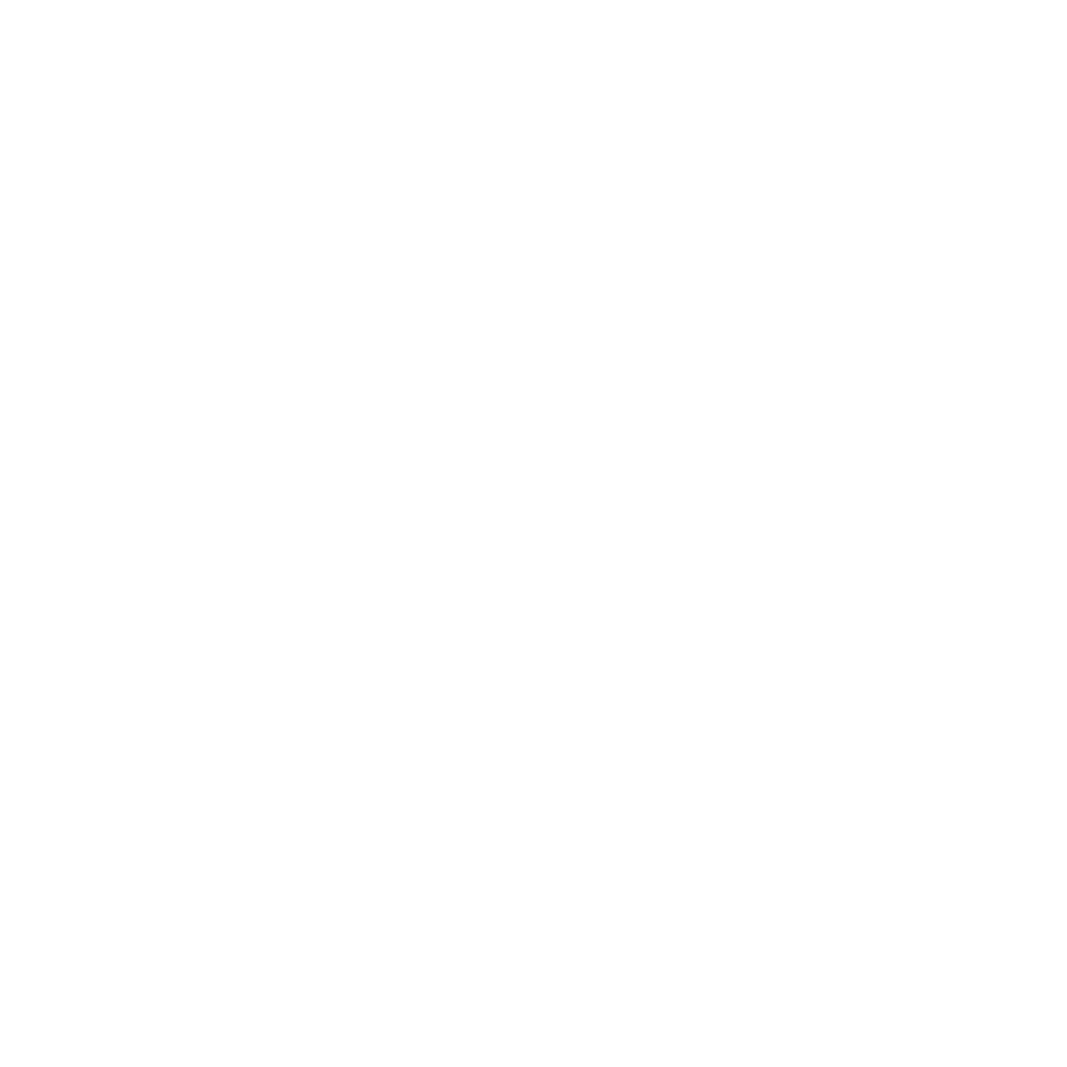 Brasão TheOrdem LTDA